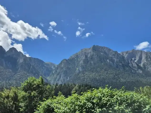 Studio 49,35 mp + 44 mp curte + 21,35 mp terasele + loc de parcare - Busteni  img 8