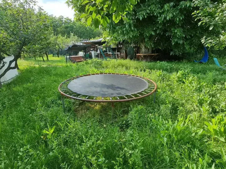 Urgent! Buftea,Central, Casă cu 1800 mp. de teren! img 4