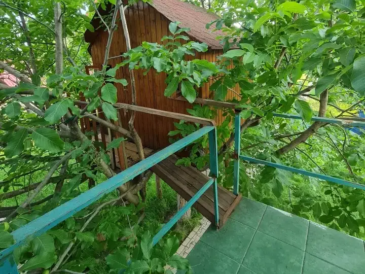 Urgent! Buftea,Central, Casă cu 1800 mp. de teren! img 5