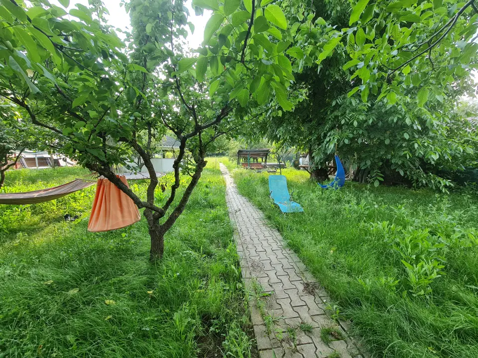 Urgent! Buftea,Central, Casă cu 1800 mp. de teren! img 3