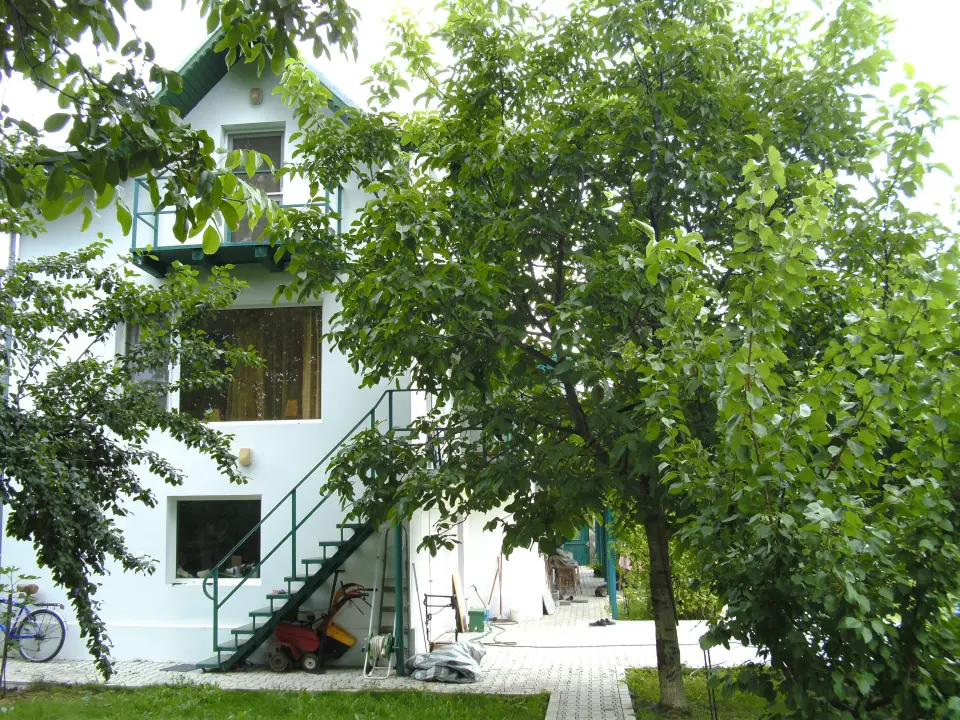 Urgent! Buftea,Central, Casă cu 1800 mp. de teren! img 6