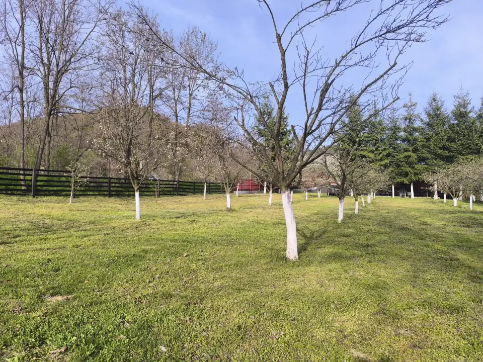 Proprietar, vand casa de vacanta, com.Malureni jud Arges, teren 2100mp img 9