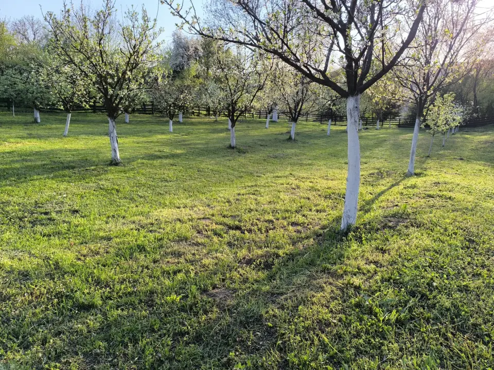 Proprietar, vand casa de vacanta, com.Malureni jud Arges, teren 2100mp img 10