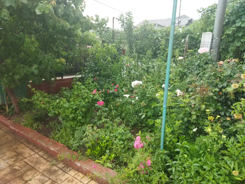 Vând vila individuala P+1+M centru Otopeni img 4