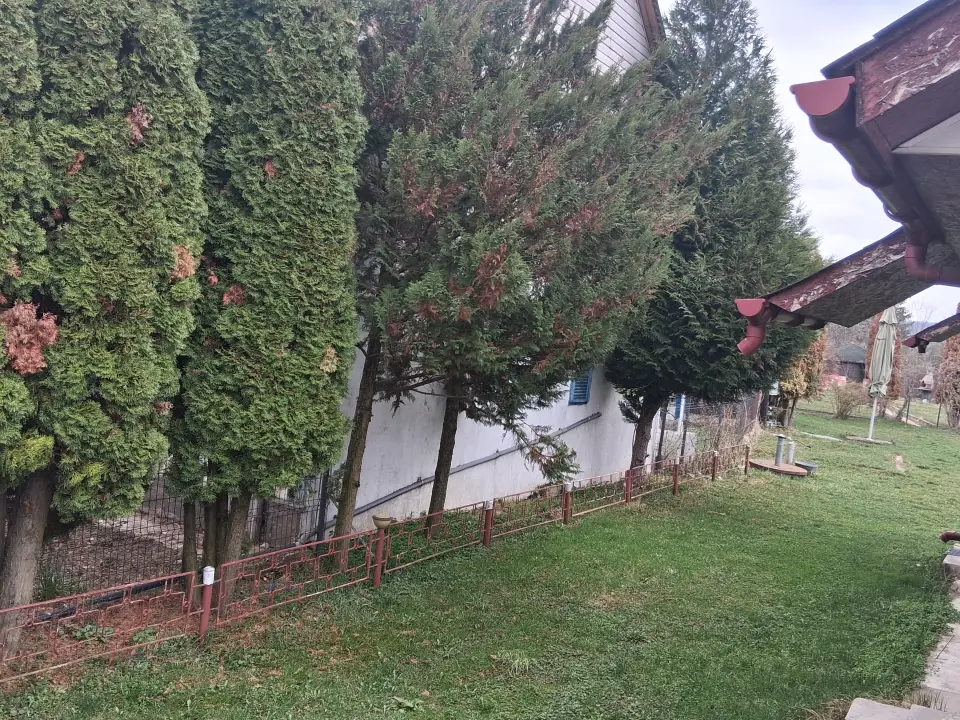 Casă de vacanță de vânzare Stalpeni Arges img 3