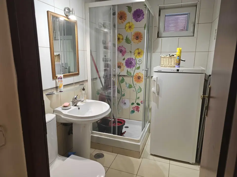 Pipera Domus Townhouse 160mp un loc de parcare teren 130mp | Voluntari, Ilfov 2007 img 5