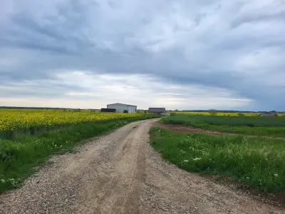 Teren de vanzare Balotești