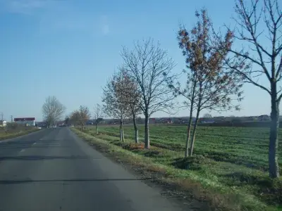 Teren de vanzare Buftea