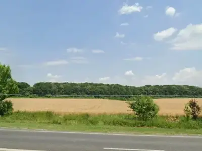 Teren de vanzare Ciolpani