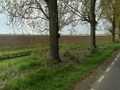 Teren de vanzare Dascălu