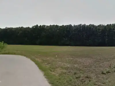 Teren de vanzare Dascălu