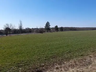 Teren de vanzare Snagov