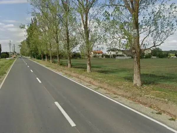 Teren sosea Balotesti Caciulati 31000 mp lotizat Rezidential img 3