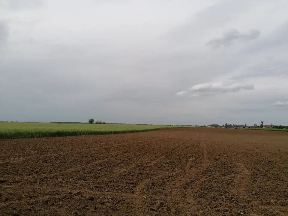 Teren Balotesti 6500 mp str Lunii intravilan img 4