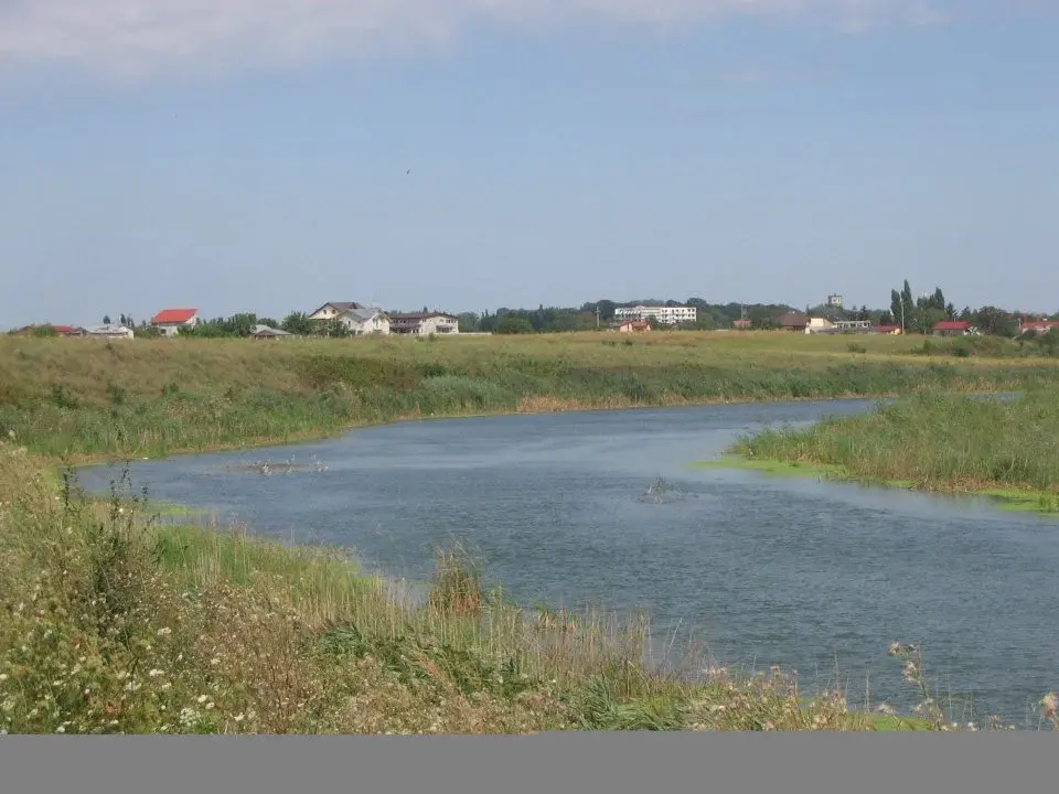 Teren Lac Balotesti Saftica 15300 mp str Nalbei img 3