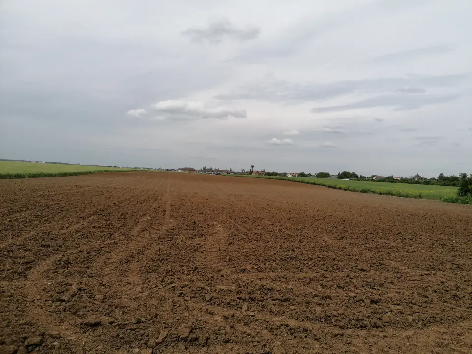 Teren Balotesti 3600 mp acces la 2 strazi str Bisericii cu str Lunii principala