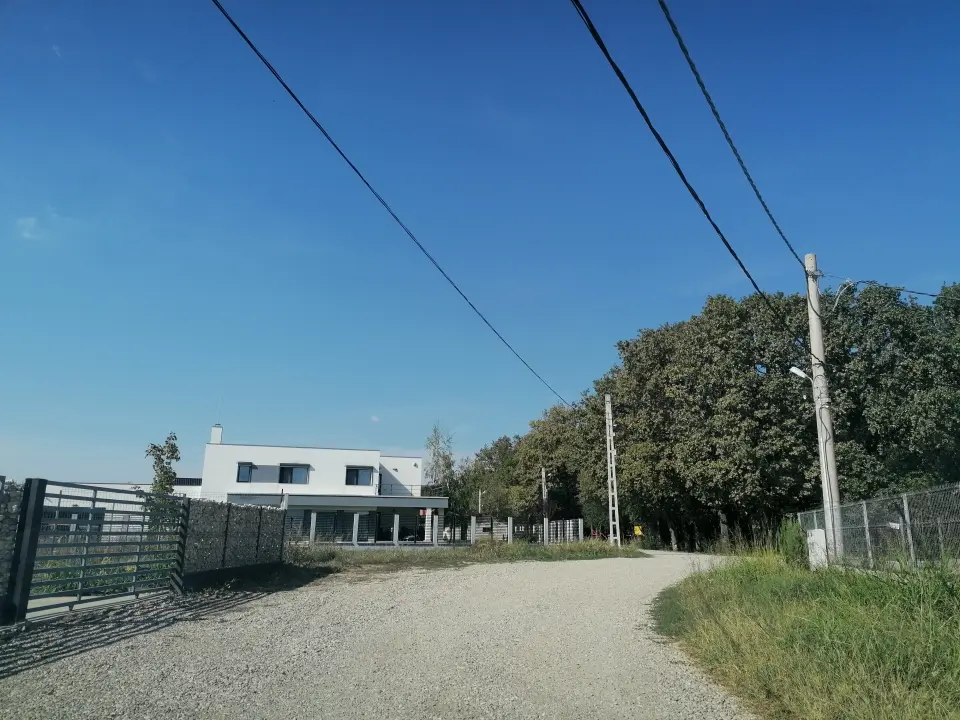 Teren Balotesti str Fieni 1250 mp vedere la Padure  principala