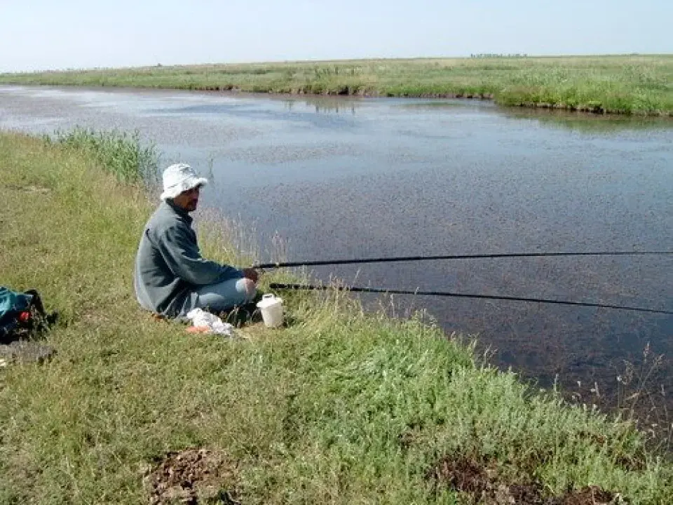 Teren Lac Balotesti Saftica 15300 mp str Nalbei principala