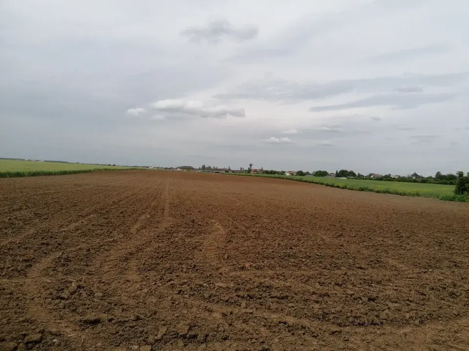 Teren Balotesti str Fabricii 55000 mp Rezidential img 2