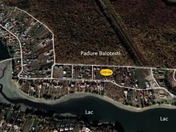 Teren Balotesti str Fieni 1250 mp vedere la Padure  img 6
