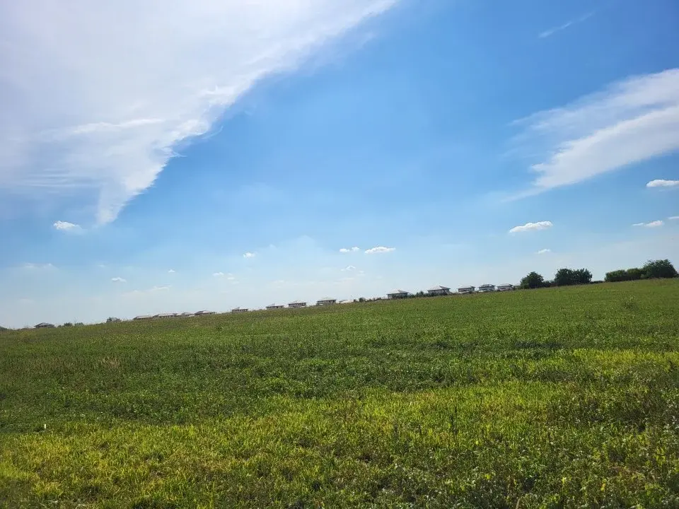 Teren Balotesti str Viilor 10300 mp cu toate utilitatile rezidential img 4