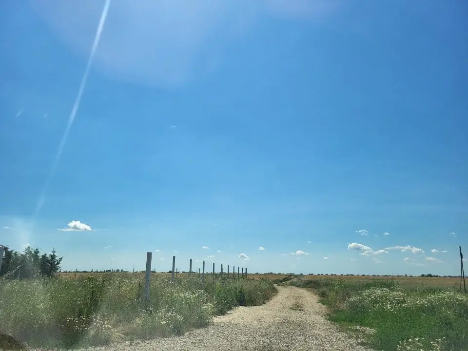 Teren Balotesti 1 Ha Rezidential  43 m la strada Fantanii img 3