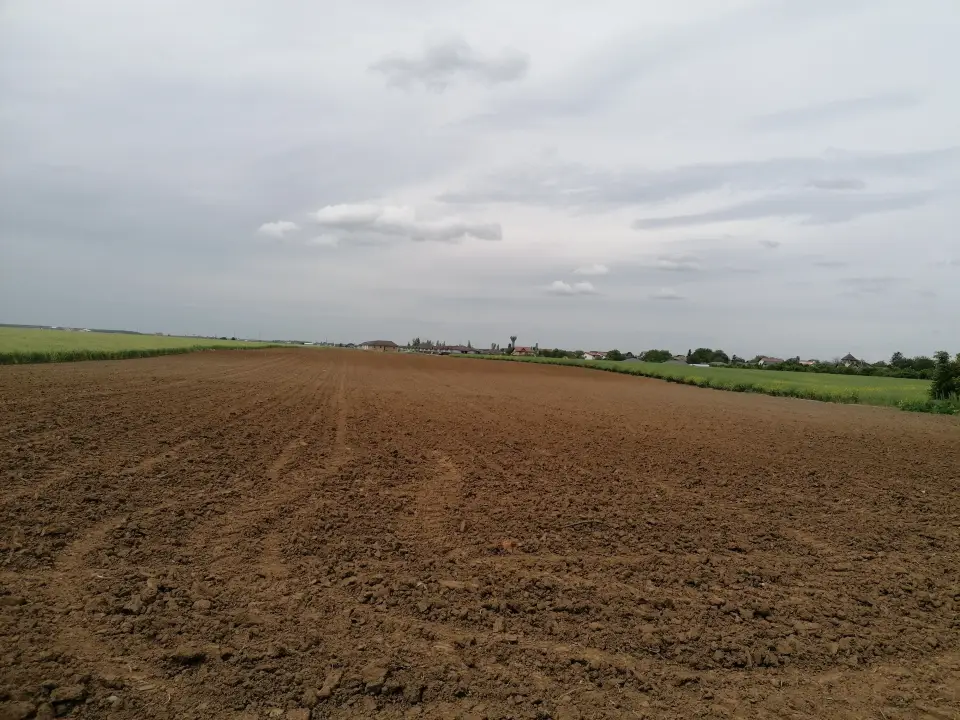 Vanzare teren 16700 mp Balotesti la str Lunii cu str Amurgului img 2