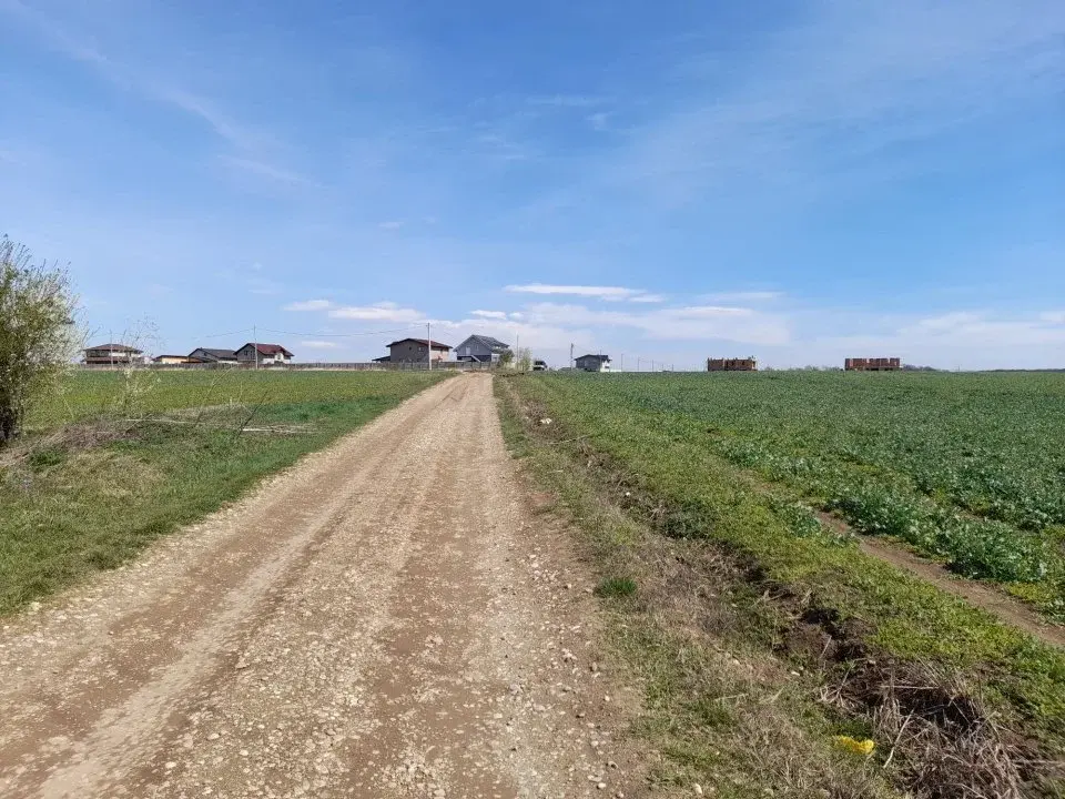 Teren Lac Balotesti  Saftica 1 Ha la str Lacului lotizat img 2