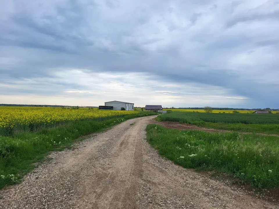 Teren Saftica Balotesti 28000 mp acces 83 m la 2 drumuri apropiere str Nucilor principala