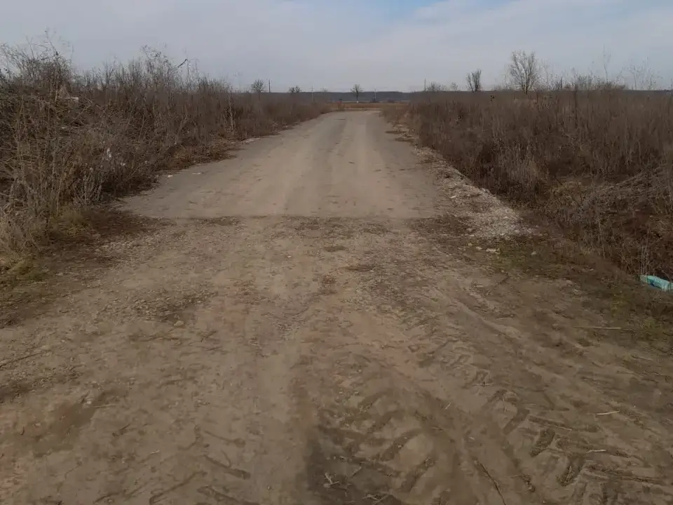 Teren Buftea Tamasi 16200 mp cu utilitati veder Padure img 3