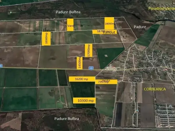 Teren Buftea Tamasi 16200 mp cu utilitati veder Padure img 4