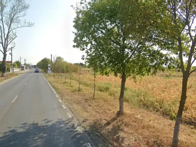 Vand teren 17000 mp intravilan apropiere DJ Corbeanca Buftea  img 3