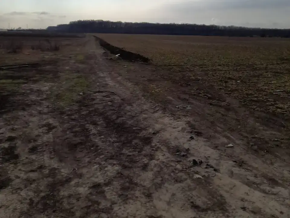 Teren Buftea Tamasi 16200 mp cu utilitati veder Padure img 2