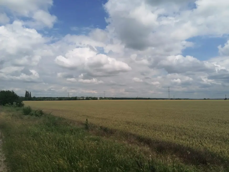 Vanzare teren  52000 mp Buftea Gara industrial cu acces la noua Centura a orasului img 2