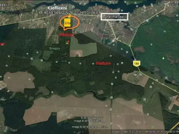 Teren Snagov Ciofliceni 1 Ha latura la Padure rezidential img 3