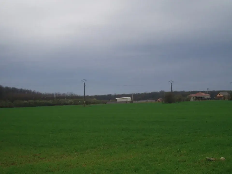 Teren Snagov Ciofliceni 1 Ha latura la Padure rezidential img 2