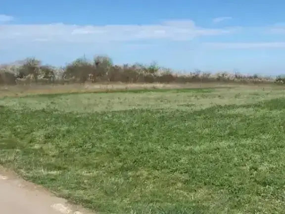 Teren de vanzare Comana, Giurgiu 3300 mp img 2