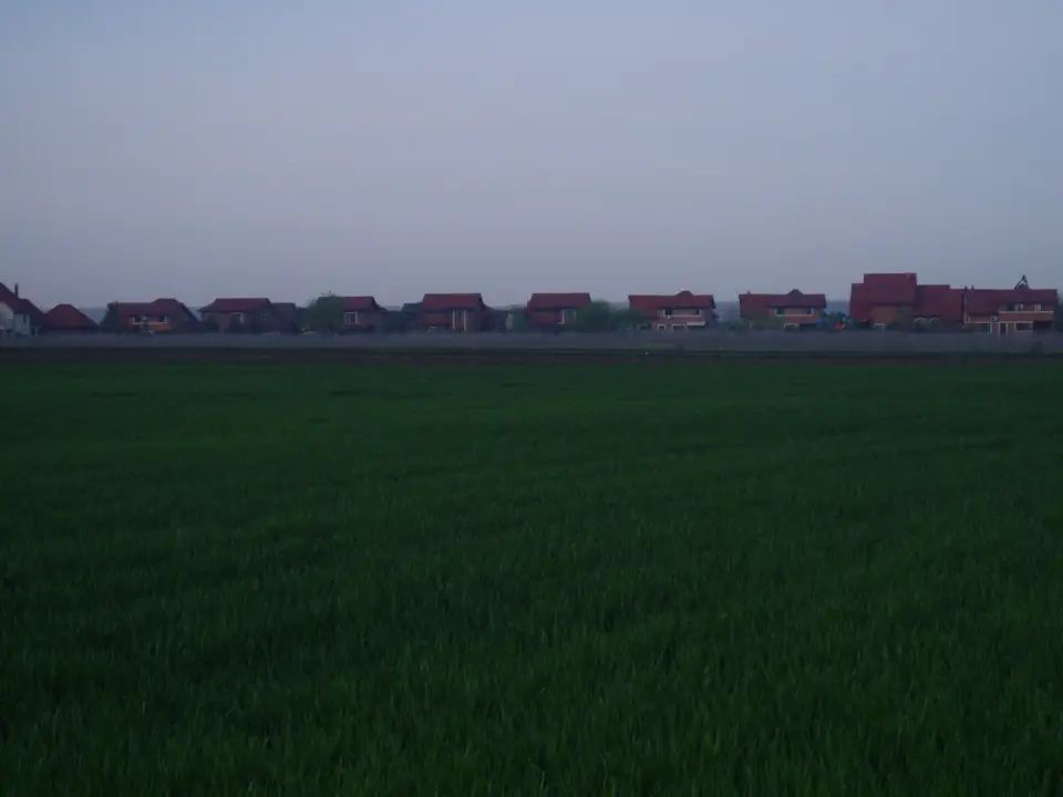 Teren Corbeanca cu PUZ in lucru pentru 69 loturi casa img 3