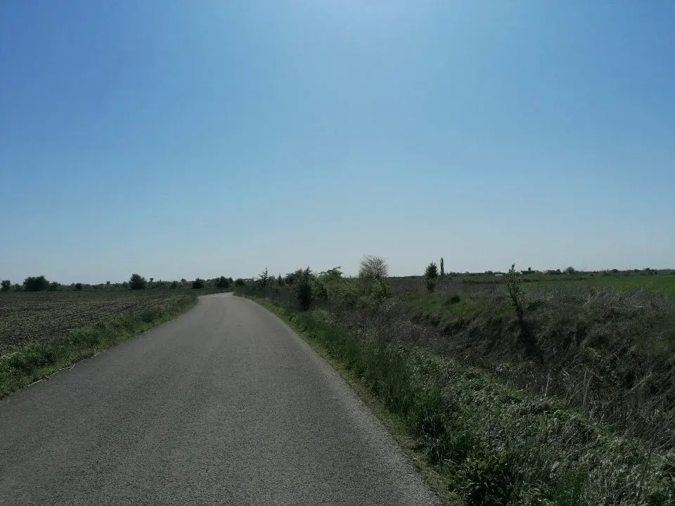 Teren Corbeanca str Radarului 7900 mp Intravilan  principala