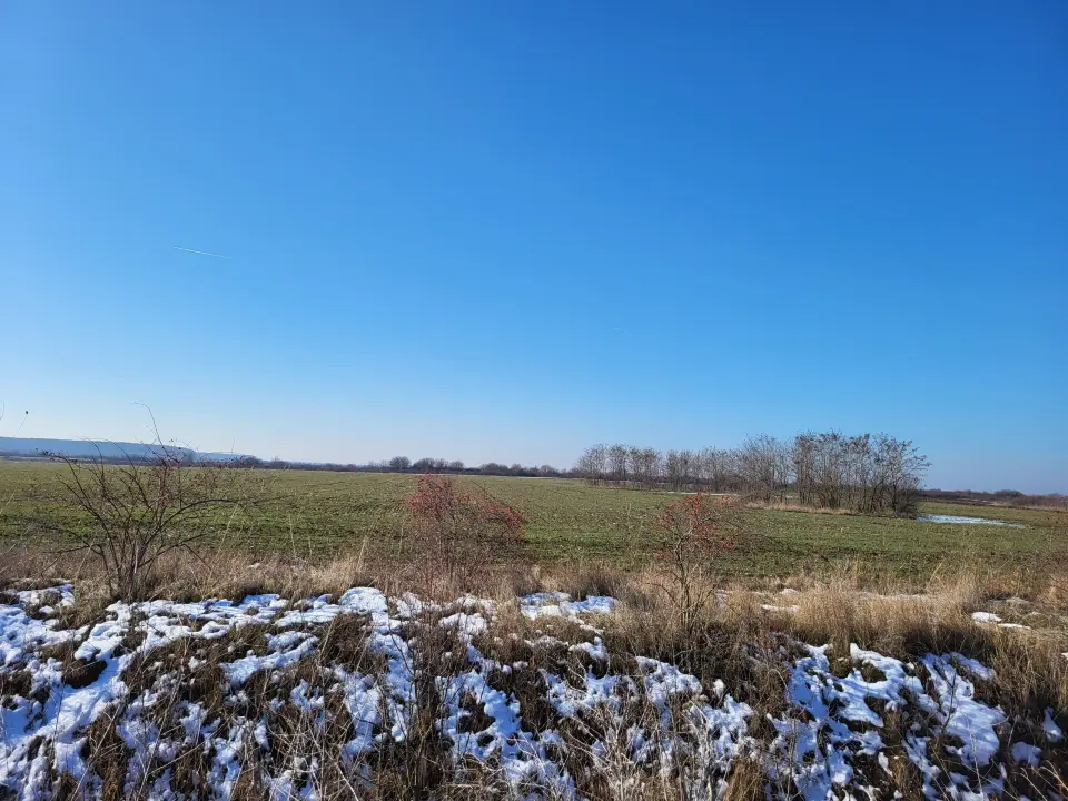 Teren Corbeanca cu PUZ in lucru pentru 69 loturi casa img 4