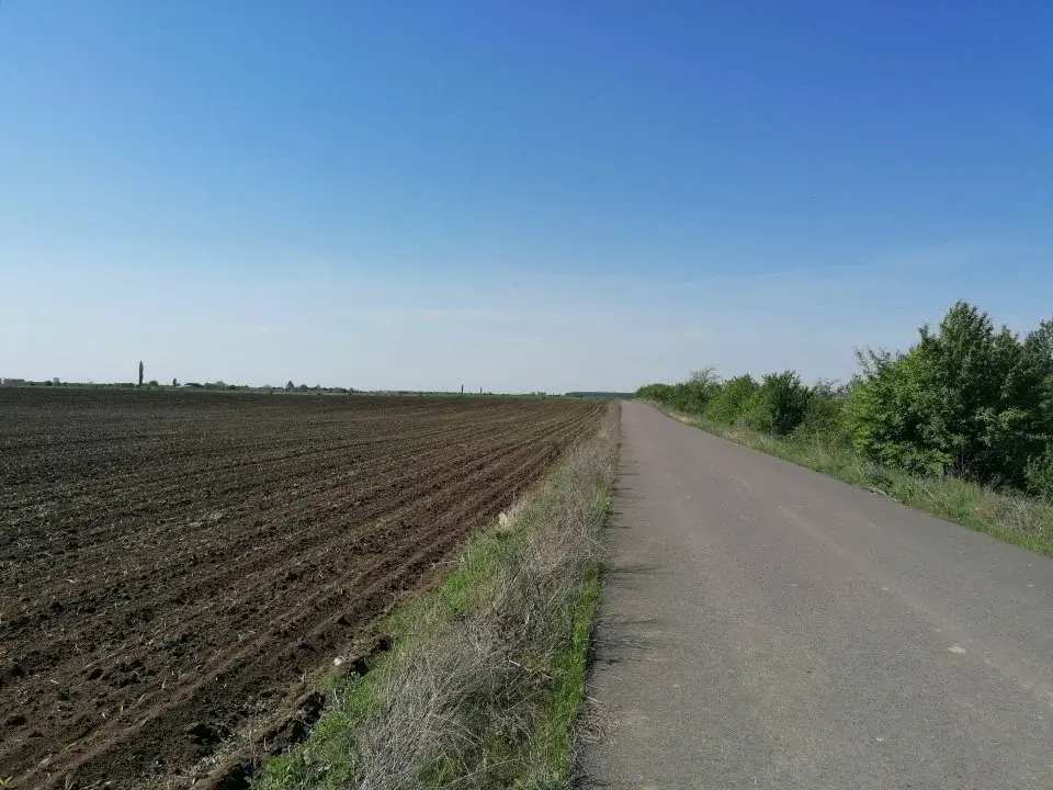 Teren Corbeanca str Radarului 7900 mp Intravilan  img 3