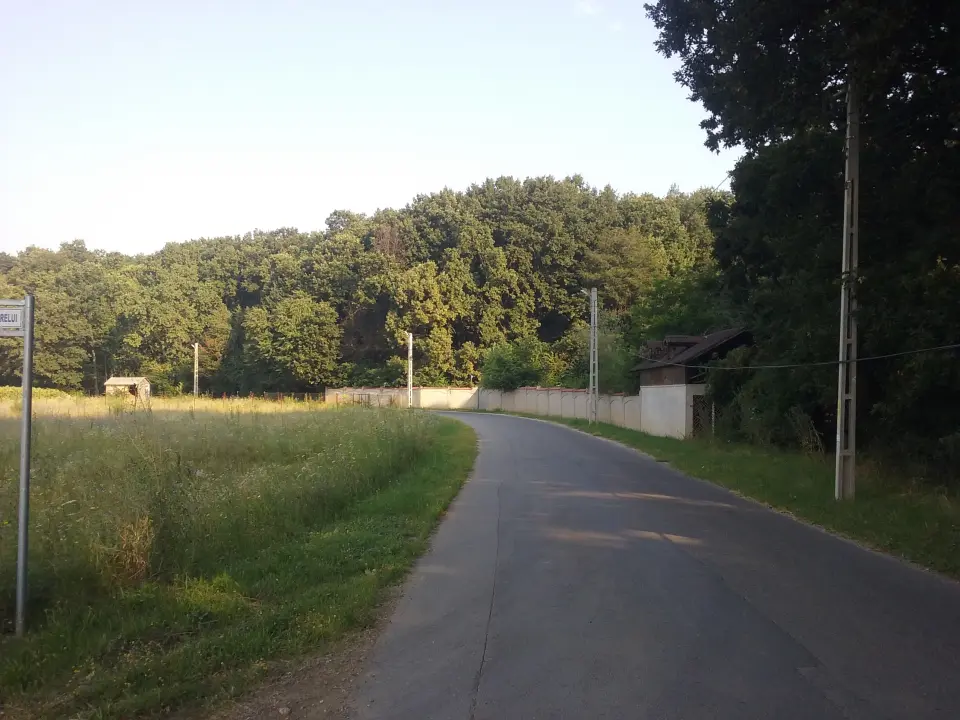 Teren Corbeanca Otopeni cu Padure aviz pentru constructie 2 case  img 2