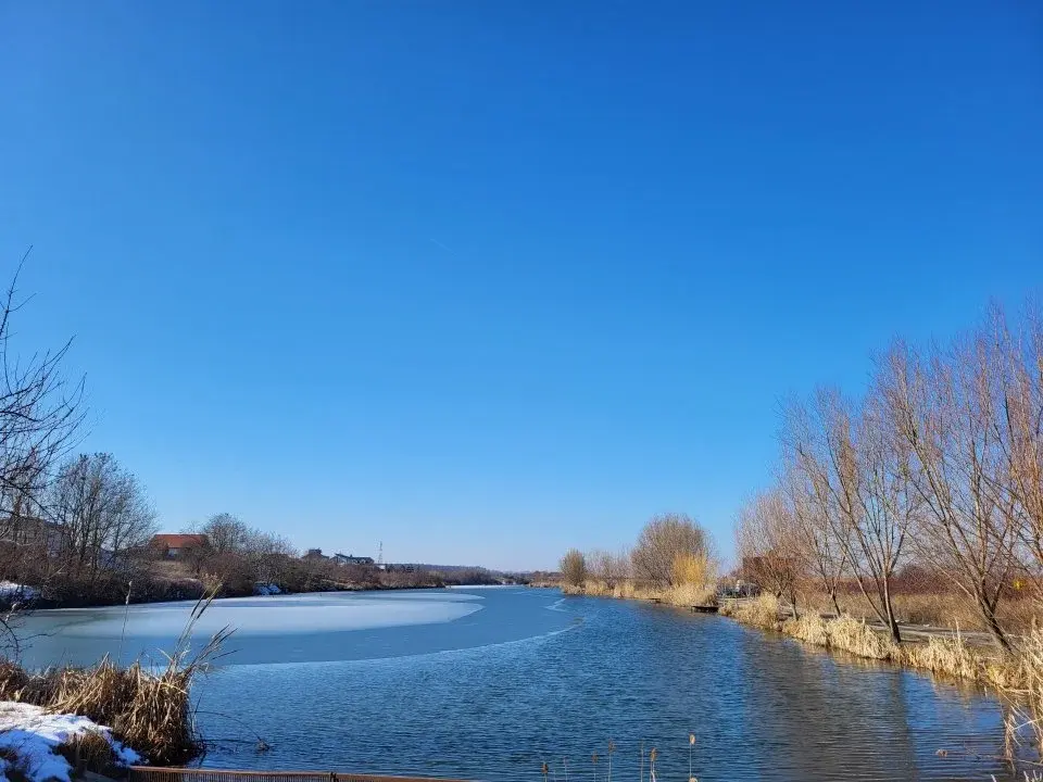 Teren Lac Corbeanca 19500 mp str Drumul Scolii rezidential img 2