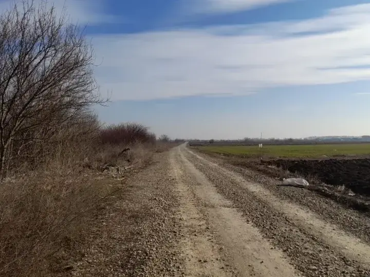 Teren la sosea Corbeanca Saftica 21500 mp PUZ 34 Loturi dezmembrate img 2