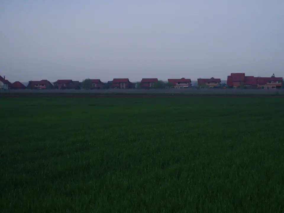 Teren Corbeanca Ostrat 35000 mp la sosea utilitati veder Padure img 2