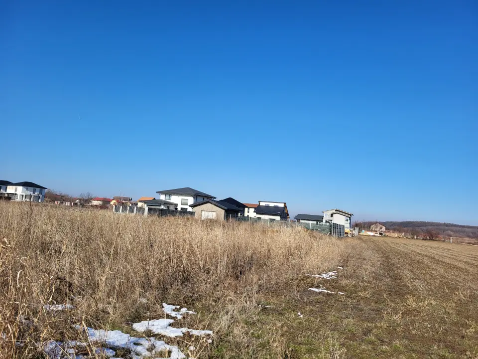 Teren Corbeanca str Magnoliei 13200 mp cu PUZ aprobat dezmembrare 22 loturi casa principala