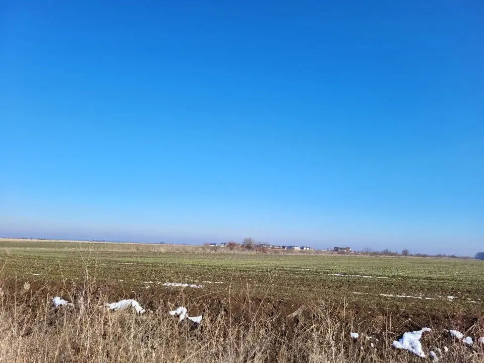 Teren Corbeanca 15 Ha latura direct la Padure  principala