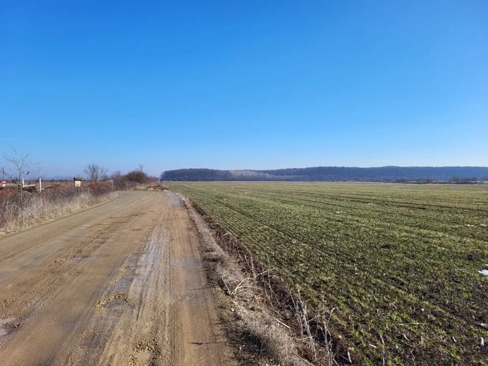 Teren Corbeanca 15 Ha latura direct la Padure  img 3