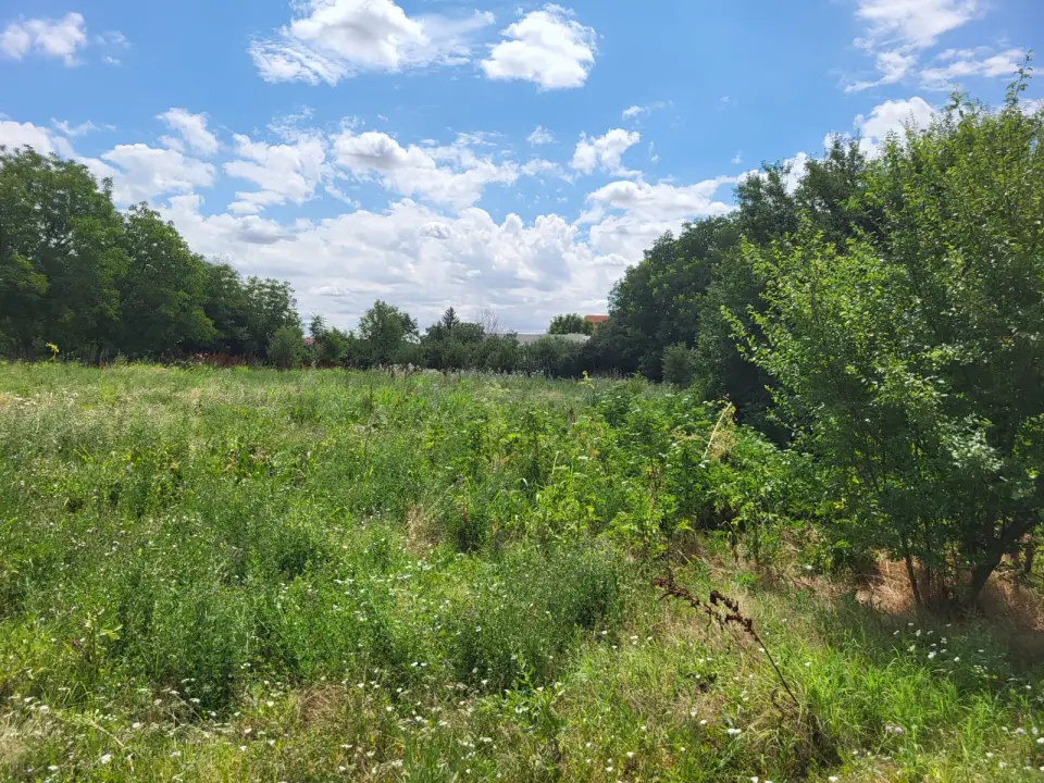 Teren Dascalu Ilfov 3974 mp la sosea str Mures cu toate utilitatile img 2