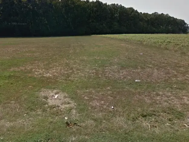 Teren Dascalu Runcu 16700 mp la sosea latura direct Padure 112m img 2